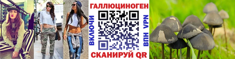где купить наркоту Шарыпово Псилоцибиновые грибы мухоморы